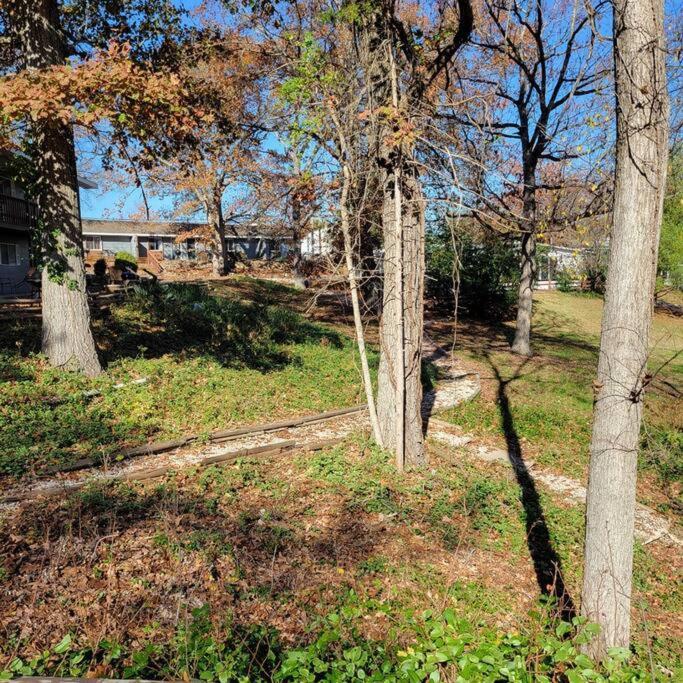 Tribesman #1 On Table Rock By Silver Dollar *
