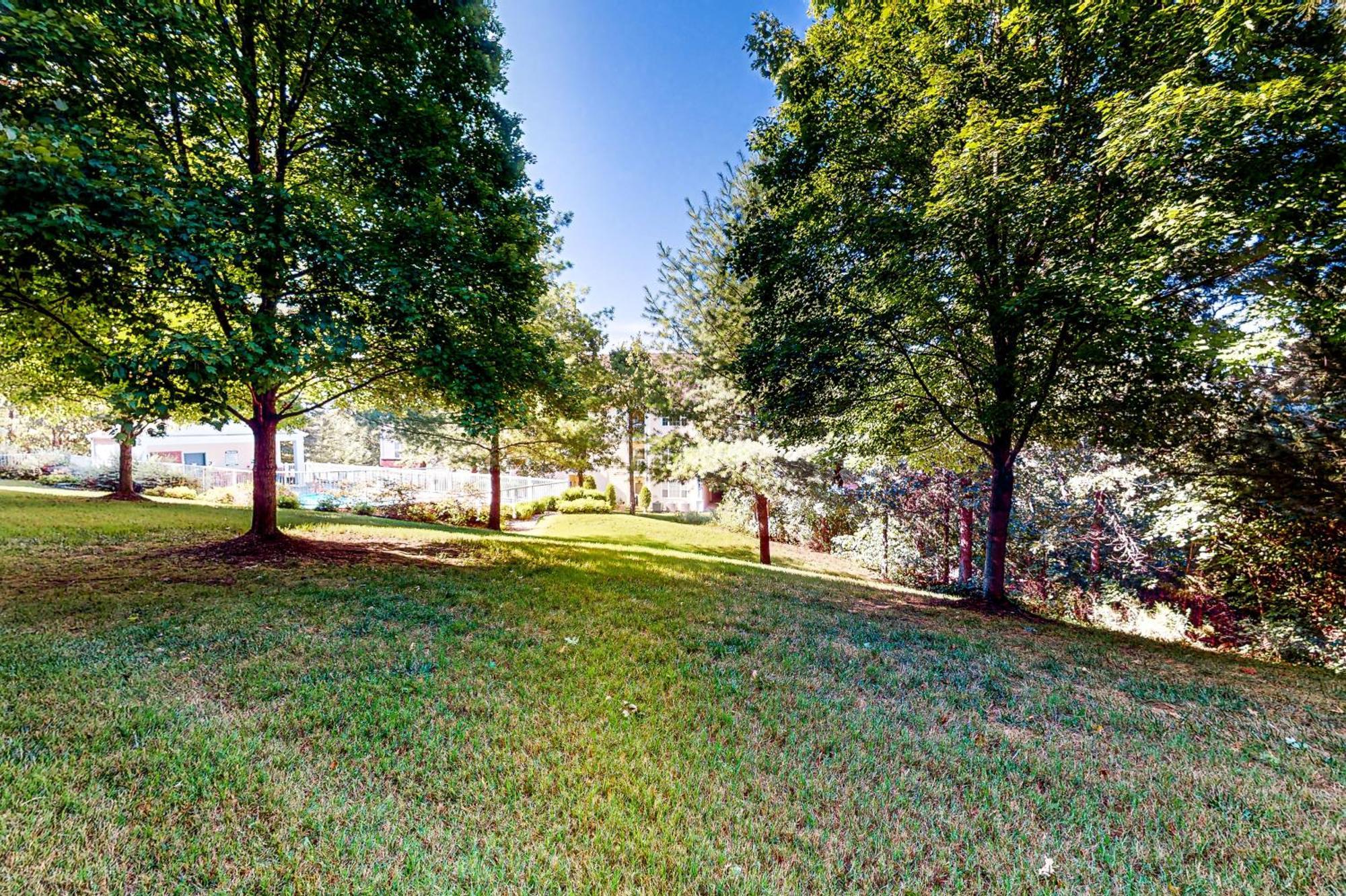 Prarie Dunes Delight Branson