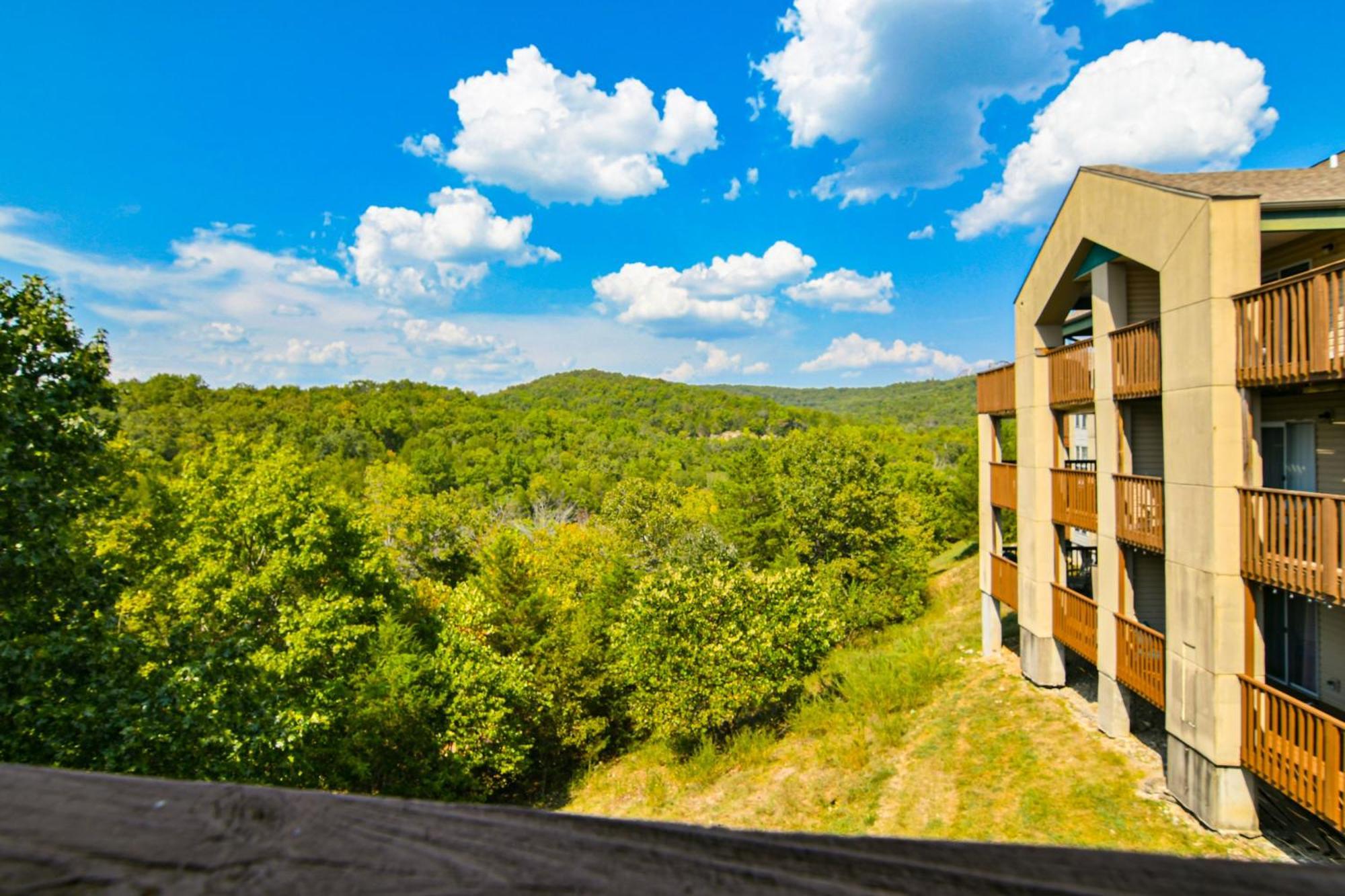 Apartment Treetop Tranquility *