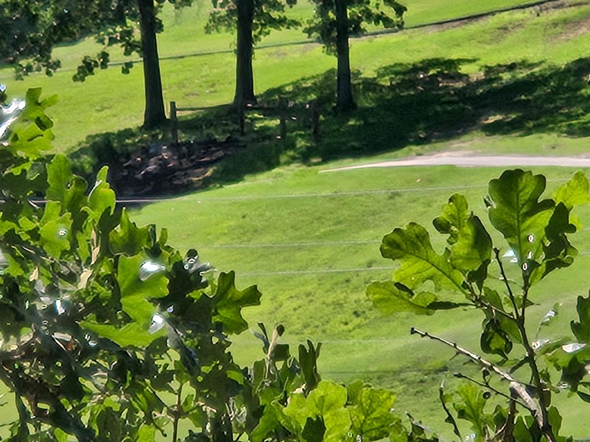 Swan's Couples Getaway * Branson