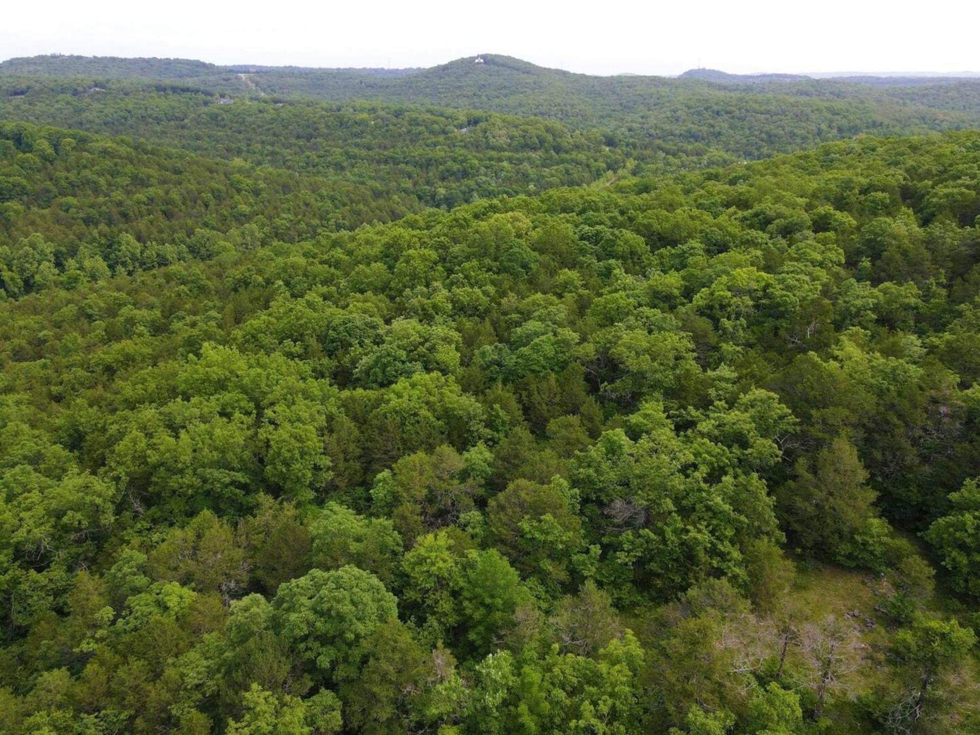 Holiday home 5 Bed Mountain View Retreat Branson