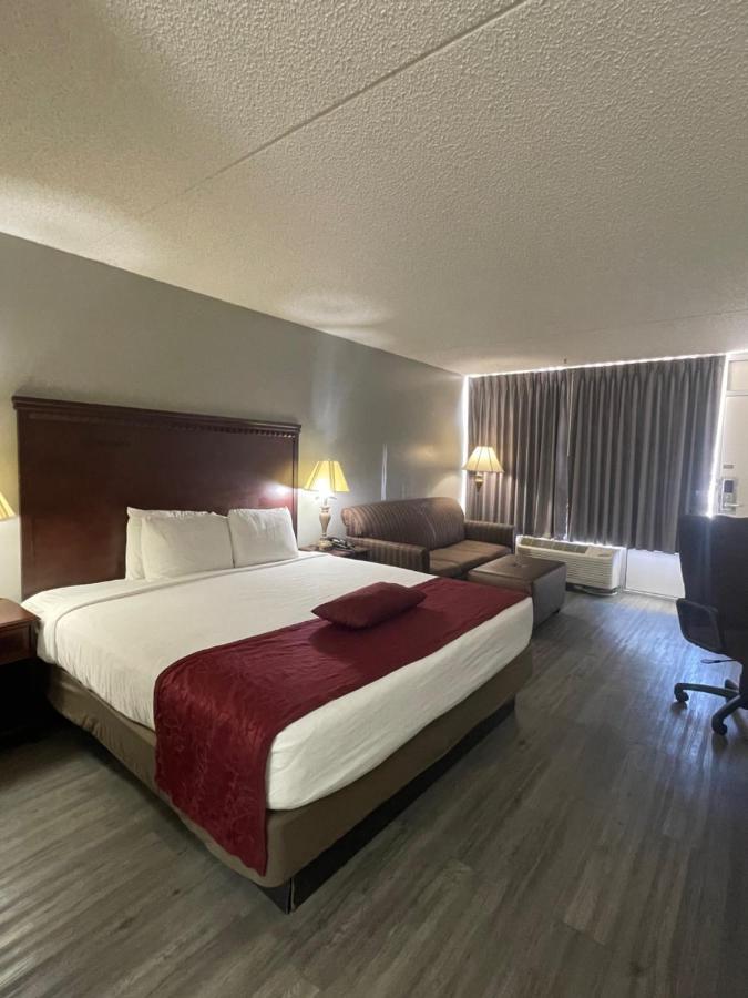 Willow Tree Hotel