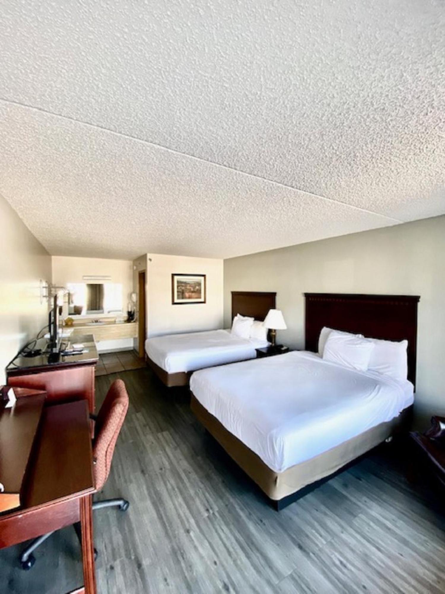 Hotel Willow Tree