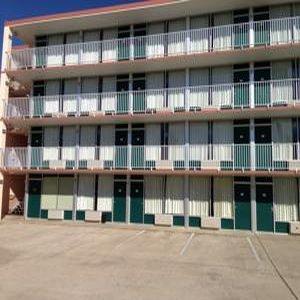 Willow Tree Hotel 2*