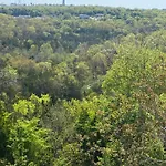 The Vista