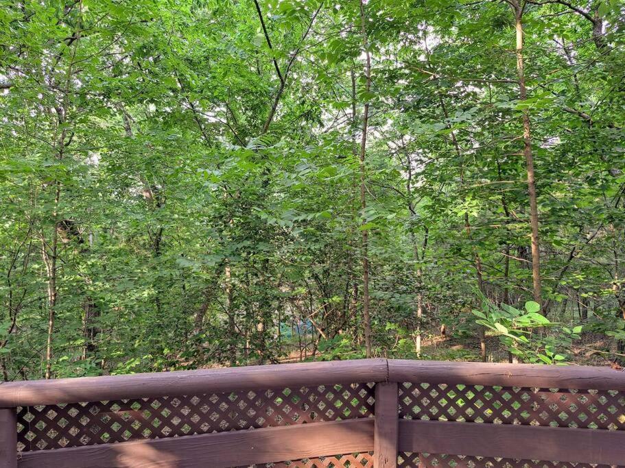 Timber Point # 10 Sonja'S Serenity * Branson
