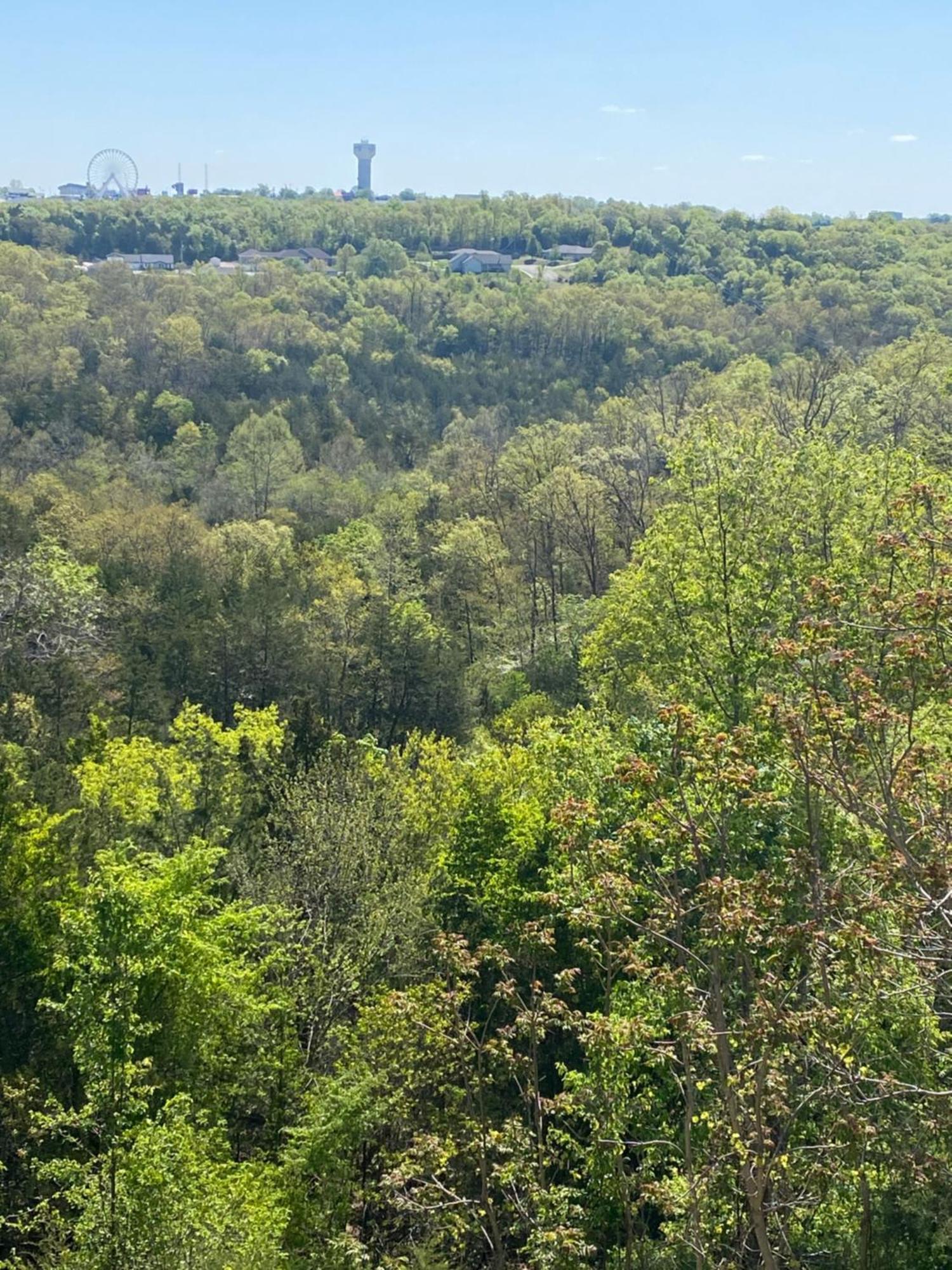 The Vista Apartment